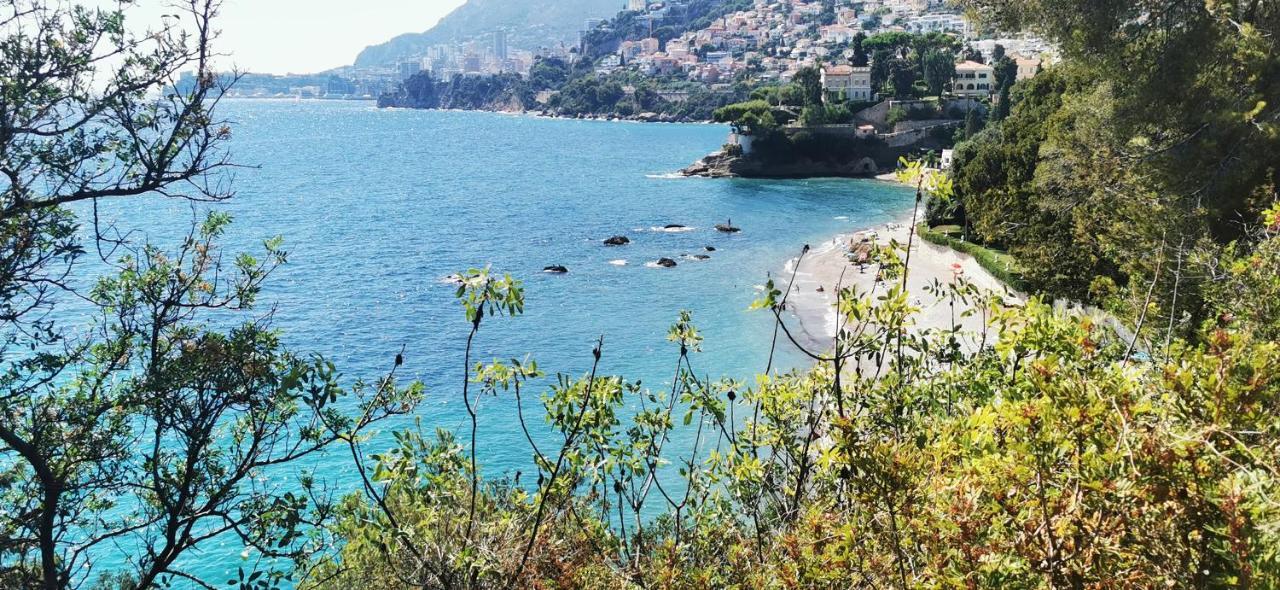 רוקברון-קאפ-מרט Vue Magnifique, Piscine Privee Chauffee Et Sauna A 10Min De Monaco מראה חיצוני תמונה